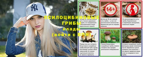 таблы Лабытнанги