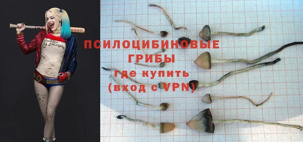бутират Магас