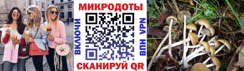 наркота  OMG онион  Галлюциногенные грибы Cubensis  Сычёвка 